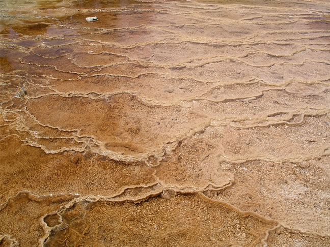 images/I-Main Terrace (12).jpg